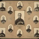 1902 CHICAGO WHITE SOX 8X10 TEAM PHOTO BASEBALL MLB PICTURE 1902 CHICAGO WHITE SOX 8X10 TEAM PHOTO BASEBALL MLB PICTURE