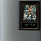 TRIPLE H PLAQUE WRESTLING WWE WWF TRIPLE H PLAQUE WRESTLING WWE WWF