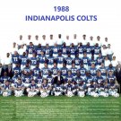 1988 INDIANAPOLIS COLTS 8X10 TEAM PHOTO FOOTBALL PICTURE NFL 1988 INDIANAPOLIS COLTS 8X10 TEAM PHOTO FOOTBALL PICTURE NFL