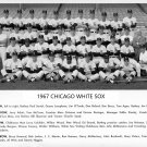 1967 CHICAGO WHITE SOX 8X10 TEAM PHOTO BASEBALL PICTURE MLB