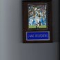 JAKE DELHOMME PLAQUE CAROLINA PANTHERS FOOTBALL NFL