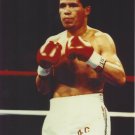 JULIO CESAR CHAVEZ 8X10 PHOTO BOXING PICTURE COLOR JULIO CESAR CHAVEZ 8X10 PHOTO BOXING PICTURE COLOR