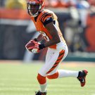 A.J. GREEN 8X10 PHOTO CINCINNATI BENGALS PICTURE NFL FOOTBALL A.J. GREEN 8X10 PHOTO CINCINNATI BENGALS PICTURE NFL FOOTBALL