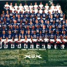 1995 CHICAGO BEARS 8X10 TEAM PHOTO FOOTBALL NFL PICTURE 1995 CHICAGO BEARS 8X10 TEAM PHOTO FOOTBALL NFL PICTURE