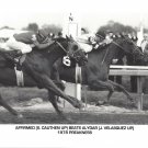 AFFIRMED BEATS ALYDAR 8X10 PHOTO HORSE RACING PICTURE JOCKEY PREAKNESS S CAUTHEN AFFIRMED BEATS ALYDAR 8X10 PHOTO HORSE RACING PICTURE JOCKEY PREAKNESS S CAUTHEN