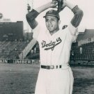 DON NEWCOMBE 8X10 PHOTO BROOKLYN DODGERS MLB BASEBALL PICTURE