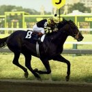 SEATTLE SLEW 8X10 PHOTO HORSE RACING PICTURE JOCKEY PREAKNESS SEATTLE SLEW 8X10 PHOTO HORSE RACING PICTURE JOCKEY PREAKNESS