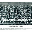 1967 CHICAGO BEARS 8X10 TEAM PHOTO FOOTBALL NFL PICTURE 1967 CHICAGO BEARS 8X10 TEAM PHOTO FOOTBALL NFL PICTURE