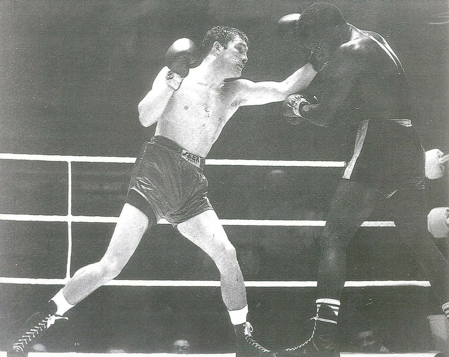 HOWARD WINSTONE vs RAFIU KING 8X10 PHOTO BOXING PICTURE