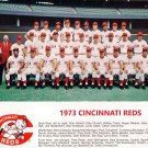 1973 CINCINNATI REDS 8X10 TEAM PHOTO BASEBALL MLB PICTURE