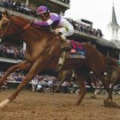 I'LL HAVE ANOTHER 8X10 PHOTO HORSE RACING PICTURE JOCKEY I'LL HAVE ANOTHER 8X10 PHOTO HORSE RACING PICTURE JOCKEY