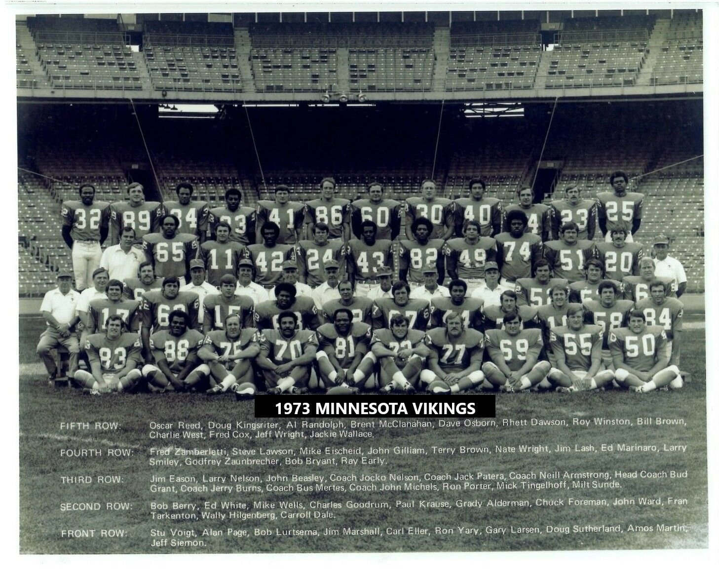 1973 MINNESOTA VIKINGS 8X10 TEAM PHOTO FOOTBALL NFL PICTURE