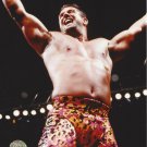 BRIAN CHRISTOPHER LAWLER 8X10 PHOTO WRESTLING PICTURE WWF WWE TNA BRIAN CHRISTOPHER LAWLER 8X10 PHOTO WRESTLING PICTURE WWF WWE TNA
