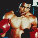 MUHAMMAD ALI 8X10 PHOTO BOXING COLOR CLOSE UP WITH GLOVES SWEATY MUHAMMAD ALI 8X10 PHOTO BOXING COLOR CLOSE UP WITH GLOVES SWEATY