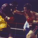 RAY BOOM BOOM MANCINI vs LIVINGSTONE BRAMBLE 8X10 PHOTO BOXING PICTURE RAY BOOM BOOM MANCINI vs LIVINGSTONE BRAMBLE 8X10 PHOTO BOXING PICTURE
