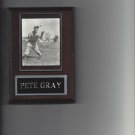 PETE GRAY PLAQUE ST. LOUIS BROWNS BASEBALL PICTURE 1 ARM PETE GRAY PLAQUE ST. LOUIS BROWNS BASEBALL PICTURE 1 ARM