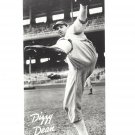 DIZZY DEAN 8X10 PHOTO ST. LOUIS CARDINALS BASEBALL PICTURE LARGE WHITE BORDER DIZZY DEAN 8X10 PHOTO ST. LOUIS CARDINALS BASEBALL PICTURE LARGE WHITE BORDER