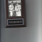 TED WILLIAMS & BABE RUTH PLAQUE BASEBALL BOSTON RED SOX NEW YORK YANKEES NY HOF TED WILLIAMS & BABE RUTH PLAQUE BASEBALL BOSTON RED SOX NEW YORK YANKEES NY HOF