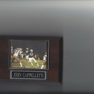 JOHN CAPPELLETTI PLAQUE PENN STATE NITTANY LIONS NCAA JOHN CAPPELLETTI PLAQUE PENN STATE NITTANY LIONS NCAA