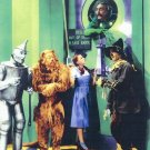 WIZARD OF OZ 8X10 PHOTO MOVIES TV PICTURE TIN MAN STRAW MAN DOROTHY LION CAST