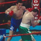 JULIO CESAR CHAVEZ JR 8X10 PHOTO BOXING PICTURE RING ACTION JULIO CESAR CHAVEZ JR 8X10 PHOTO BOXING PICTURE RING ACTION