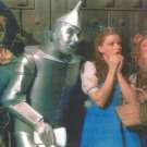 WIZARD OF OZ 8X10 PHOTO MOVIES TV PICTURE DOROTHY TIN MAN LION SCARECROW COLOR WIZARD OF OZ 8X10 PHOTO MOVIES TV PICTURE DOROTHY TIN MAN LION SCARECROW COLOR