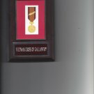 VIETNAM CROSS OF GALLANTRY MEDAL PLAQUE USA MILITARY PHOTO PLAQUE AWARD US