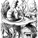 Lewis Carroll: Alice in Wonderland, Snark, 13 titles, PC/MAC/Kindle on DVD