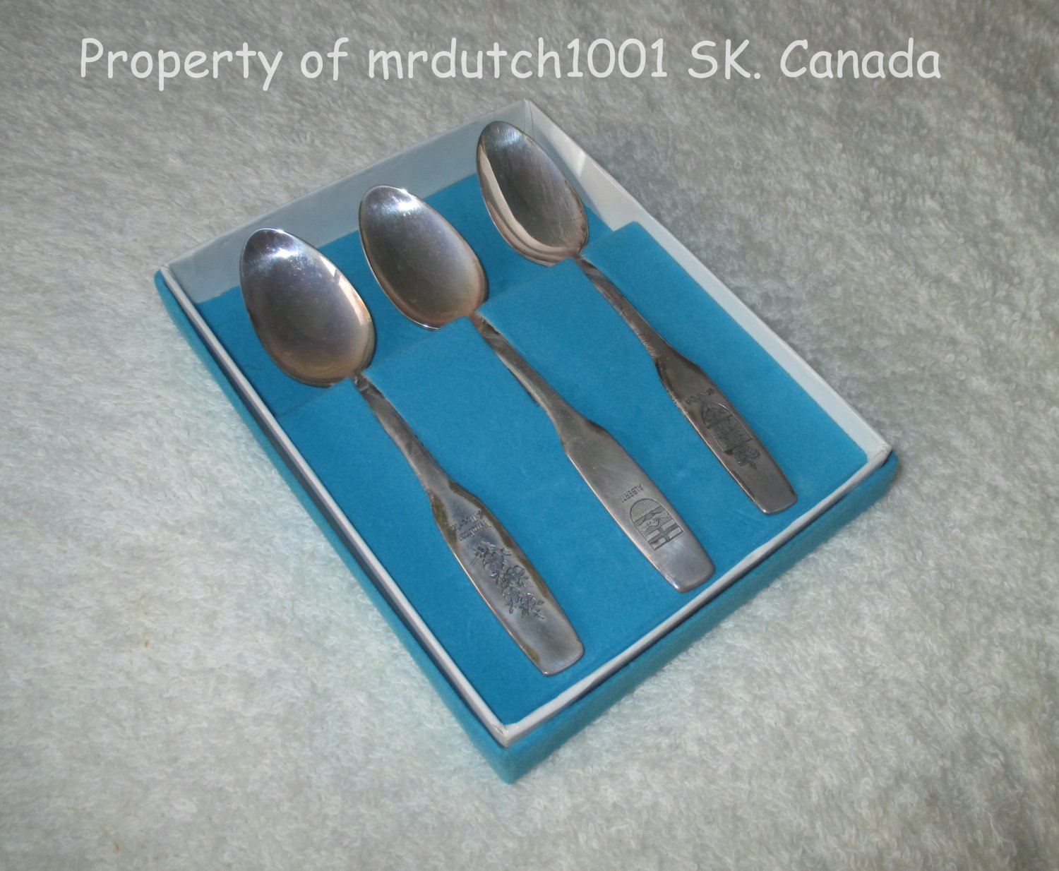 Boxed Set Of 3 ONEIDA Canadian Souvenir Spoons CANADA-ALBERTA-WILD ROSE