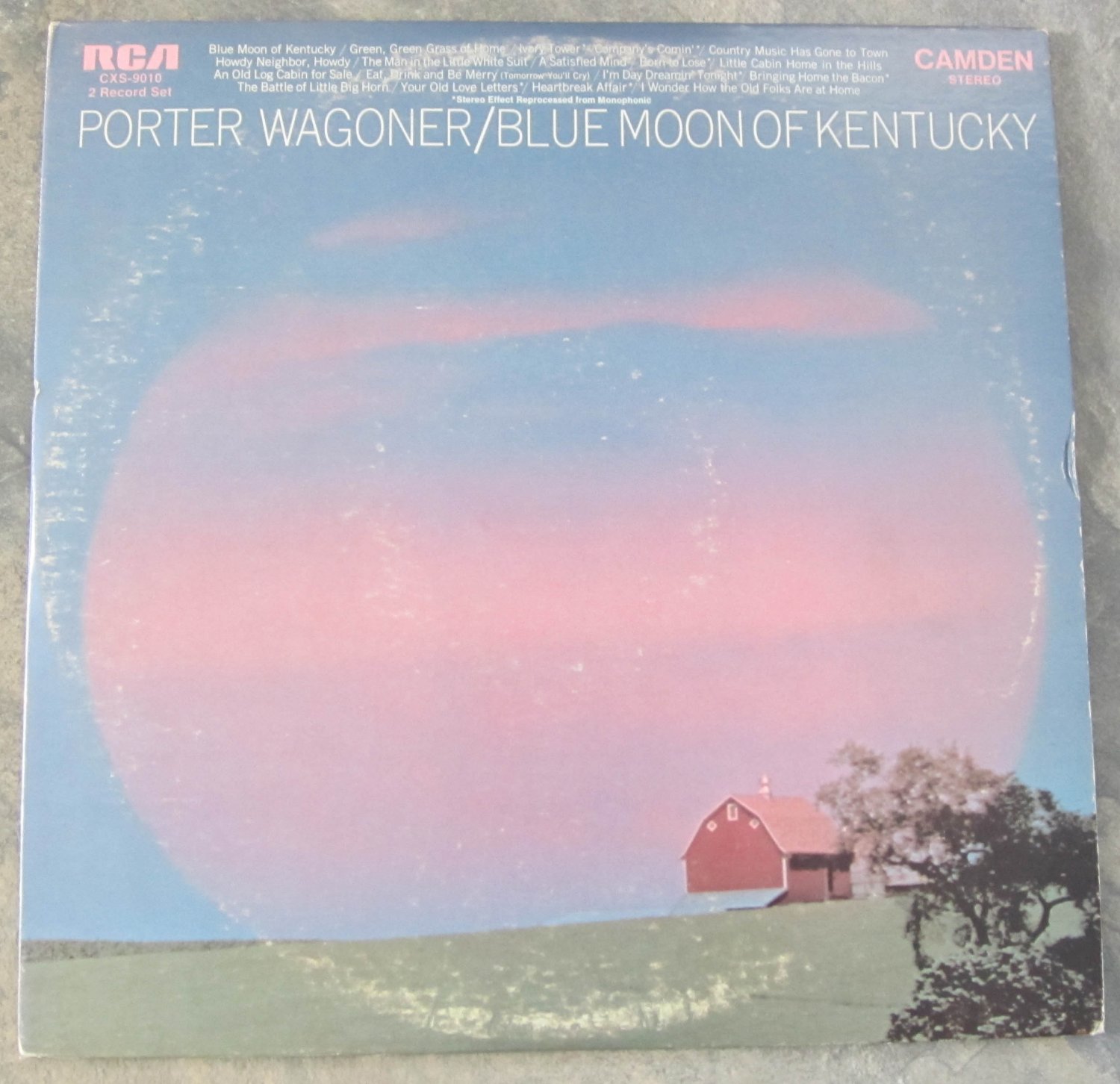 Blue Moon Of Kentucky Cover