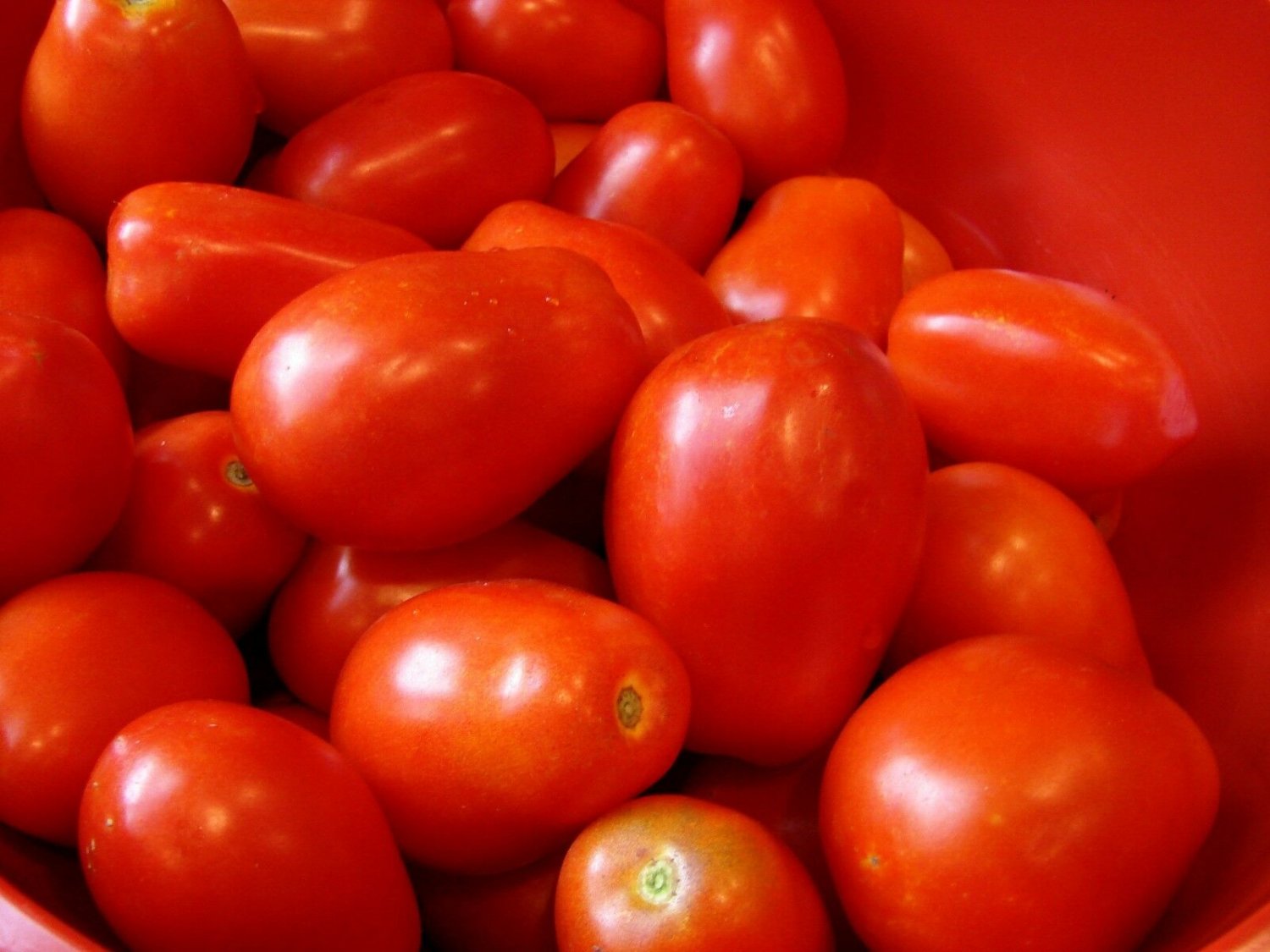 100 of Roma Italian Tomato Seeds, Heirloom, NON-GMO, Variety Sizes, FREE SHIP