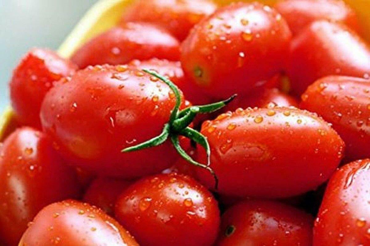 30 Seeds of Crovarese Italian Grape Tomato Seeds, NON-GMO, Variety Sizes, FREE SHIPPING