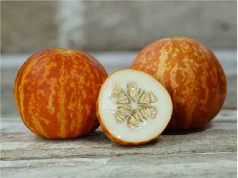 15 Seeds of Tigger Melon Seeds, Armenian, Aromatic, Organic, NON-GMO, Variety Sizes Sold