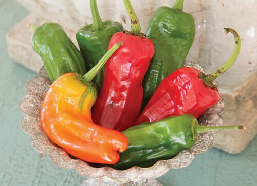 50 of Cubanelle Sweet Pepper Seeds, NON-GMO, Variety Sizes, FREE SHIP