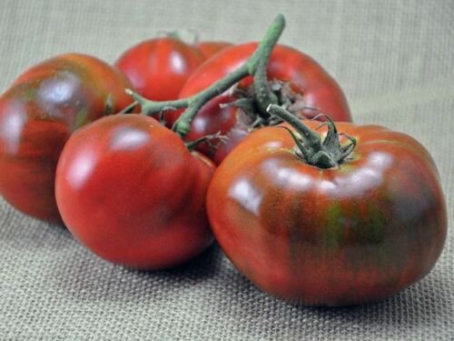 Paul Robeson Tomato, NON-GMO, Beefsteak Type 30 Seeds