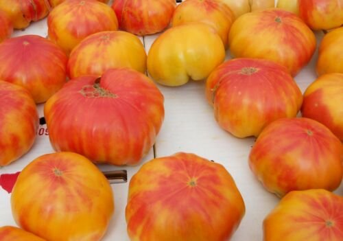 30 Seeds of Old German Tomato Seeds, NON-GMO, Heirloom, Variety Sizes