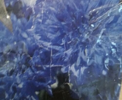50 of Bachelor Button Blue Boy Flower Seeds