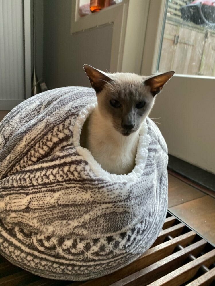 HOT SELLER 2 in 1 Pet Cat Bed Round Nest Warm Soft Plush Sleeping Cave Bag House Toy Ball