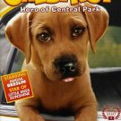 Chestnut: Hero of Central Park (DVD) Barry Bostwick, Christine Tucci disc LIKE NEW
