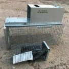Live Repeater Trap For Rats