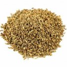 Ajwain Oil (Trachyspermum Ammi) Pure Essential Oil 10 ML