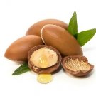 Argan Oil (Argania spinosa) Pure Cold Pressed Oil 15 ML