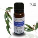 Eucalyptus Oil Pure and Natural Essential Oil  Free Shipping