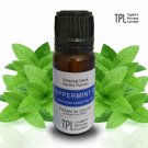 Peppermint Oil Pure and Natural Essential Oil  Free Shipping