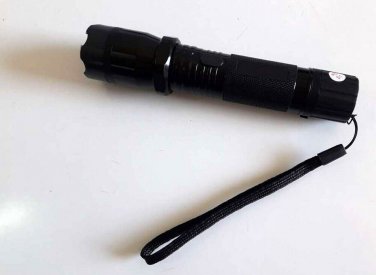 Flashlight 1101 TYPE FLASHLIGHT PLUS Light Multifunction Rechargeable NEW
