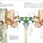 The Human Brain Book: An Illustrated Guide to its Structure, Function, and Disorders