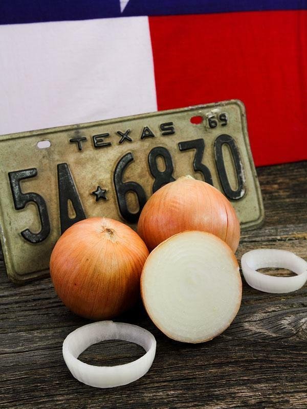 600 Seeds USA TEXAS GRANO 1015Y ONION Seeds Organic Non-Gmo Sweet Short Day Spring/Fall