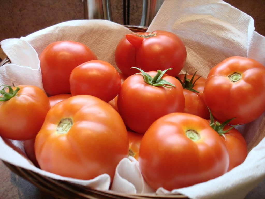 USA Product200 Red RUTGERS TOMATO Lycopersicon Globe