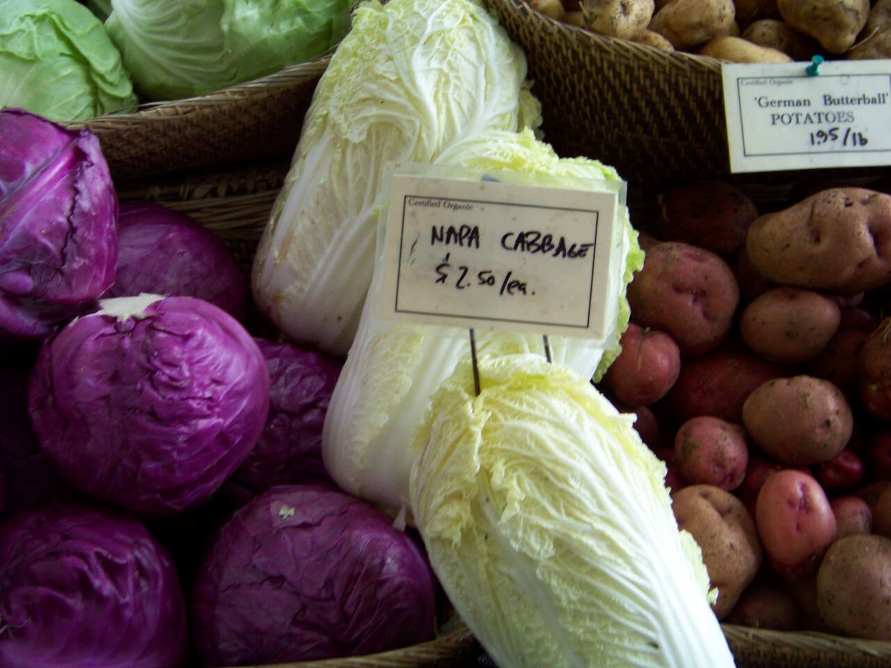 Kolokolo Store cabbage, CHINESE MICHIHILI, aka napa cabbage, 150 seeds GroCo