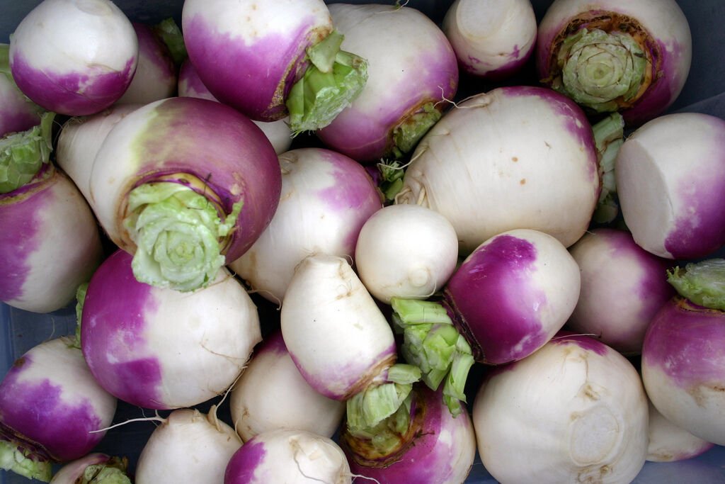 Kolokolo Store turnip, PURPLE TOP, eat greens too, vegetable 800 seeds